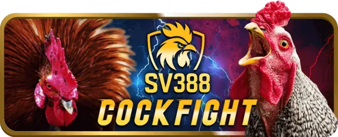 Minh họa các biện pháp bảo vệ dữ liệu mạnh mẽ của 88x win